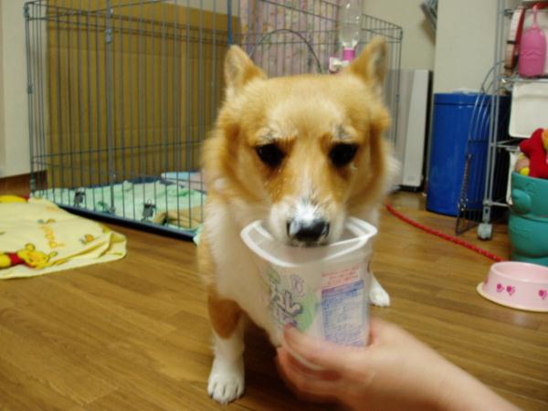 お爺さん！？