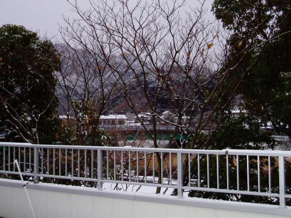 2006年雪景色