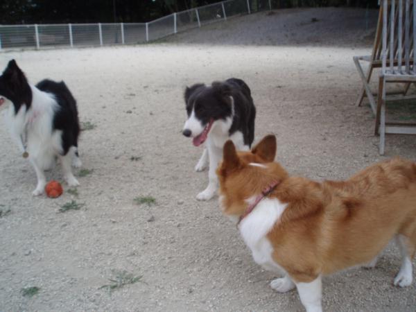 モモのおもてなし！？