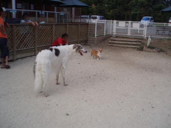 陸とモモの２ショット