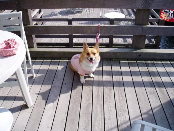 南清里道の駅