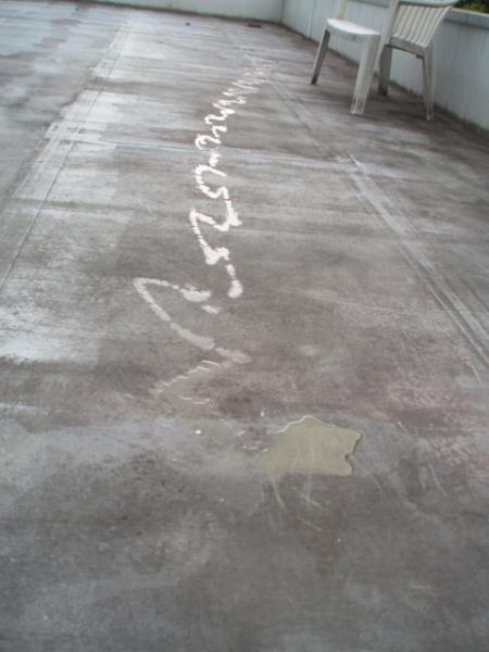 何だかわかるかな？