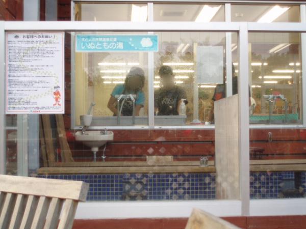 微笑ましい夫婦共同作業