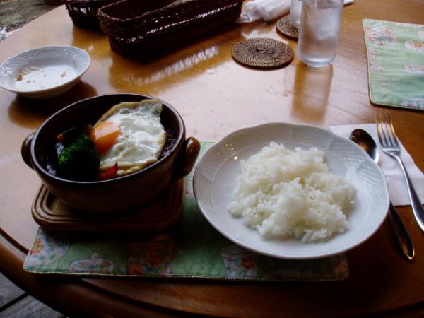 カレー煮込みハンバーグ