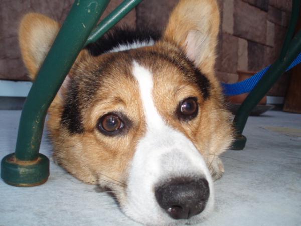 目が遠くを見つめて