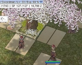 花見～