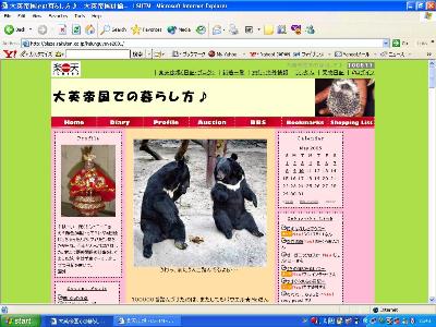 大画面