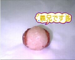 鶯ボール・兄です♪