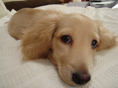 ちっちゃいころ