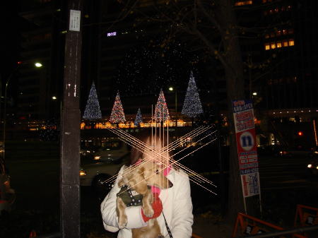 ライトアップ２