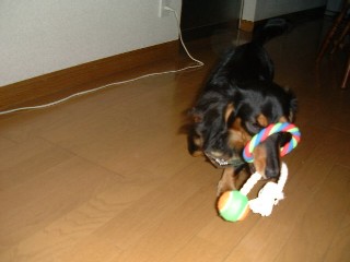 ＬＯＴＯ050830-2