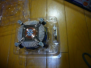 P1090149.jpg