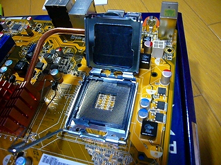 P1090155.jpg