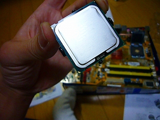 P1090165.jpg