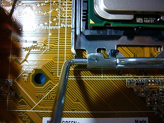 P1090167.jpg
