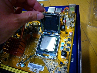 P1090169.jpg