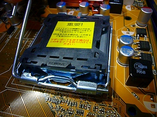 P1090174.jpg