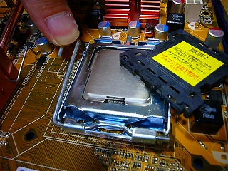P1090175.jpg