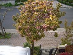PICT00030003.jpg