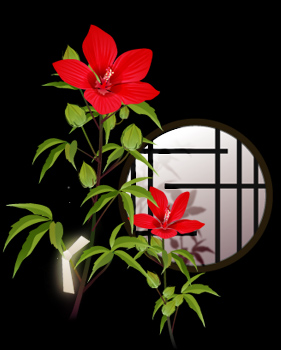 十五夜\momijiaoi2