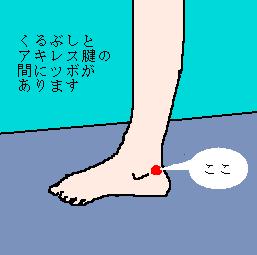 ここがツボ