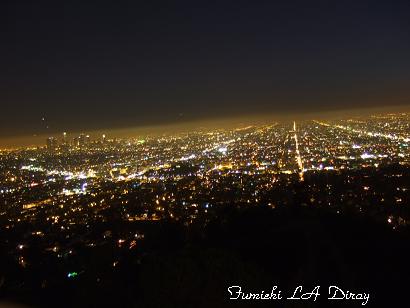 グリフィス夜景