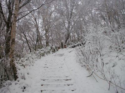 PC080012.jpg