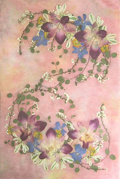 蘭の花１