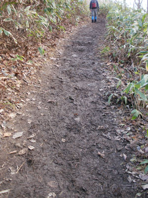 PB200008.jpg