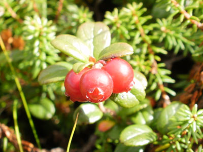 P9260043.jpg