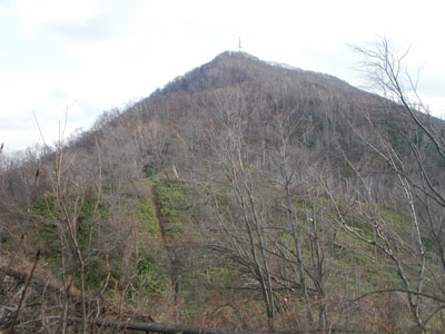 PB200011.jpg