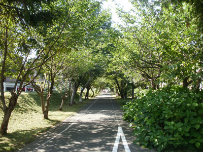 P9040051.jpg