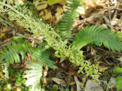 PA110014.jpg