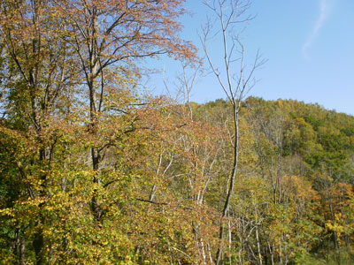 PA110017.jpg