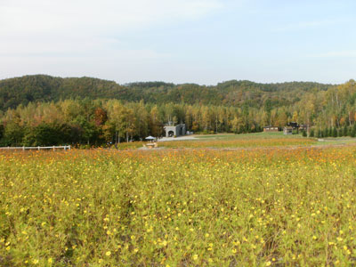 PA110039.jpg