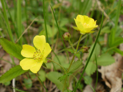 P5300024.jpg