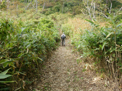 PA020014.jpg