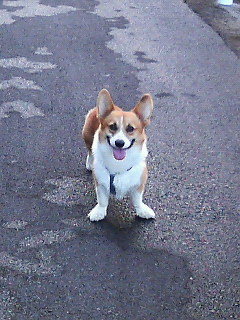 200609010654000.jpg