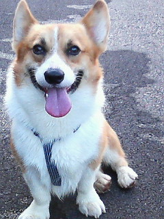 200609010654001.jpg
