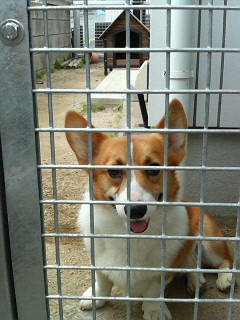 200606020843000.jpg