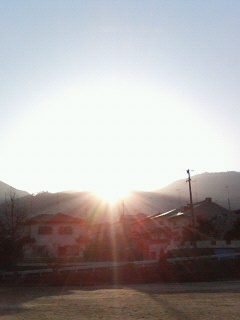 200603200714001.jpg