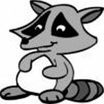 racoon_2