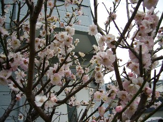 P1010246.JPG