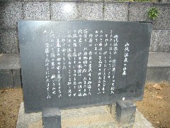 P1030429.JPG