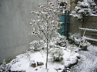 P1000695s.JPG