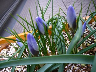 P1040102.JPG