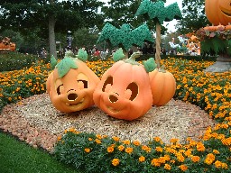 2005-10-22 14:49:29