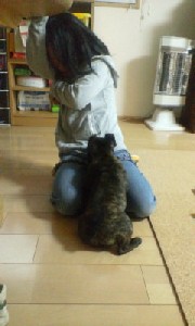 20070328080403.jpg