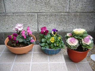 P1010147.JPG