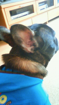200803120917000.jpg